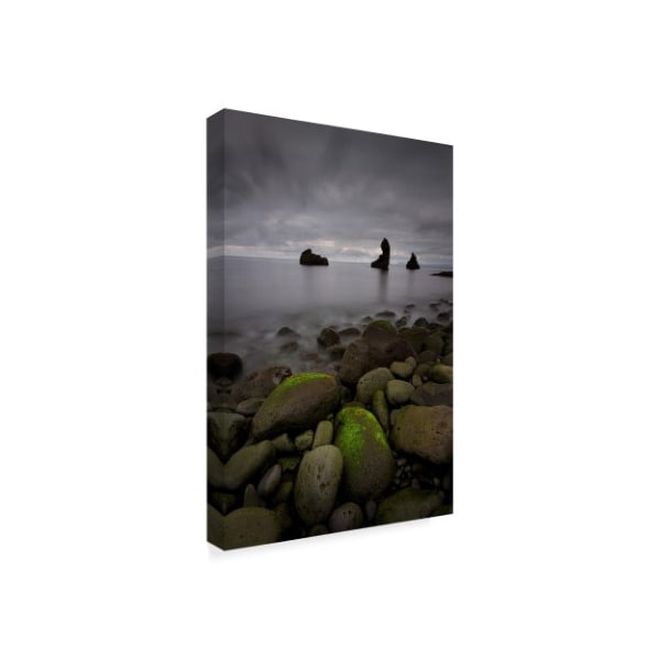 Everlook Photography 'Heimaey' Canvas Art,22x32